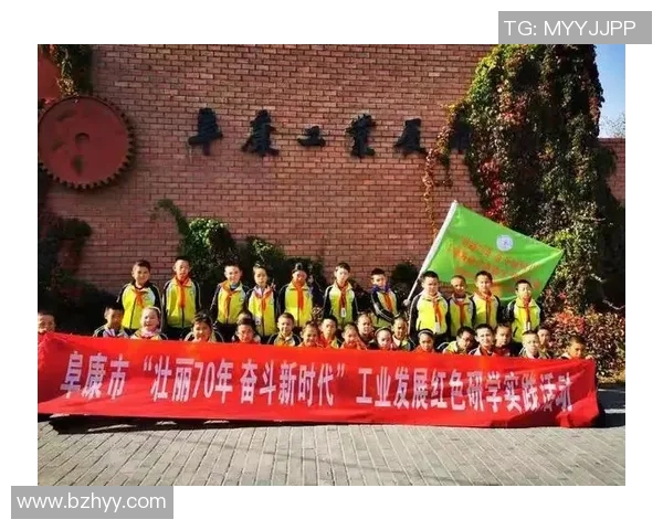 上海乒乓球队逆袭之旅揭秘世界杯预选赛背后的奋斗与荣耀