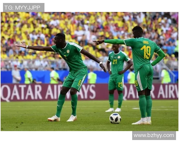 巴西经典足球明星的辉煌历程与传奇故事解析